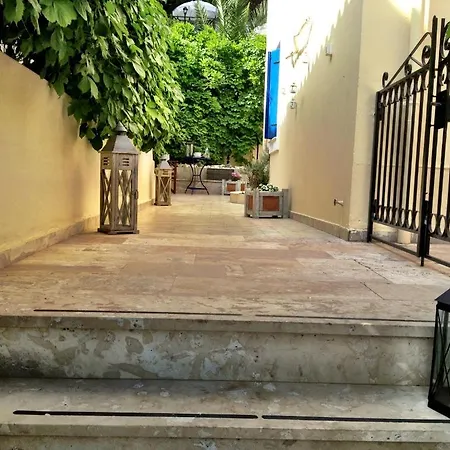 Kiki 费斯卡尔德宏